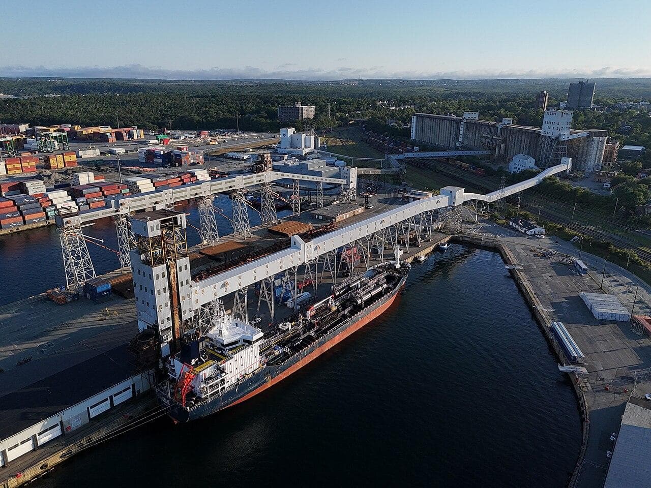 Soja e carne bovina respondem por 84% das exportações de Rondônia em 2026