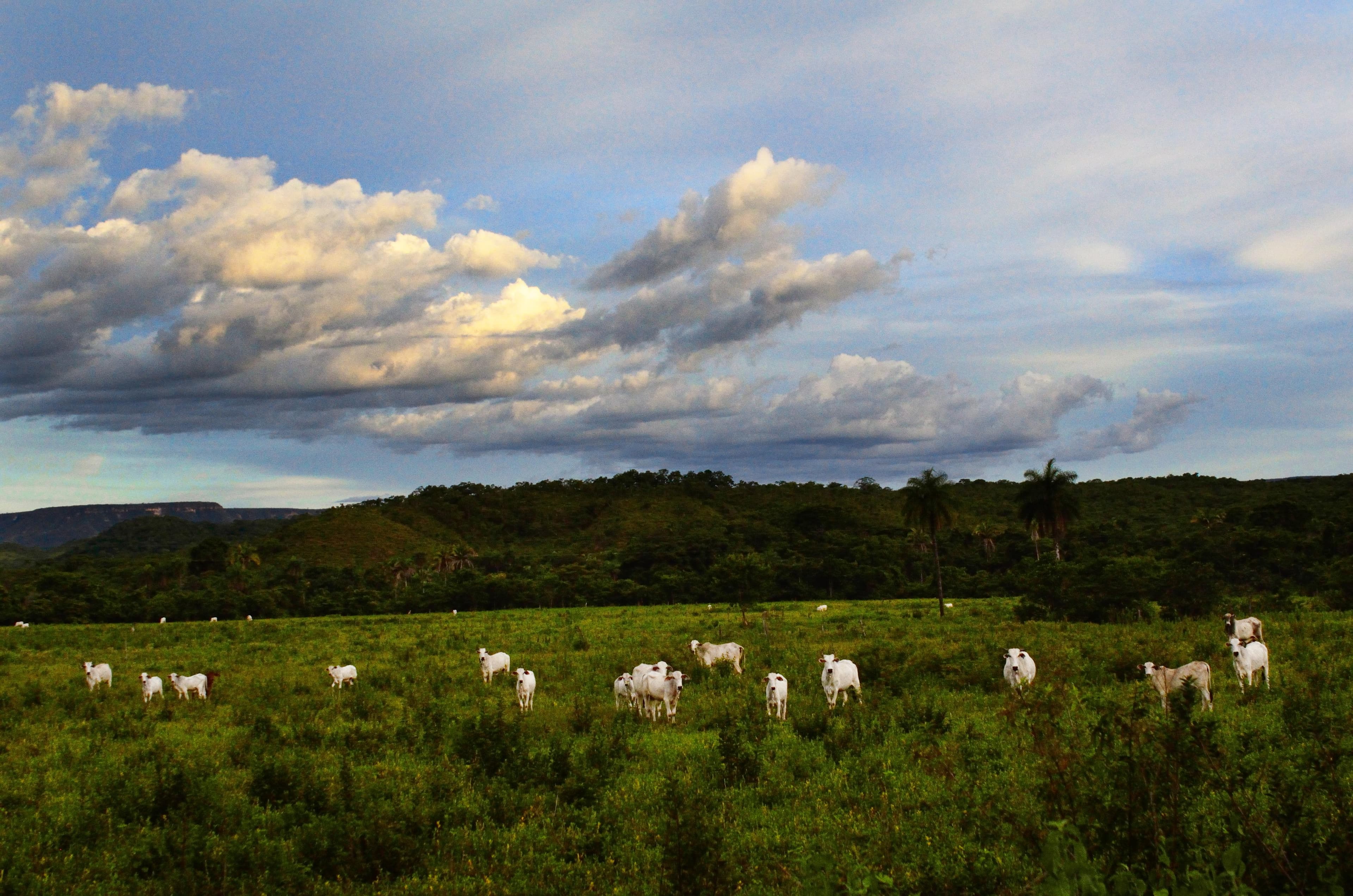 Vilhena cria Conselho Comunitário de Segurança Rural