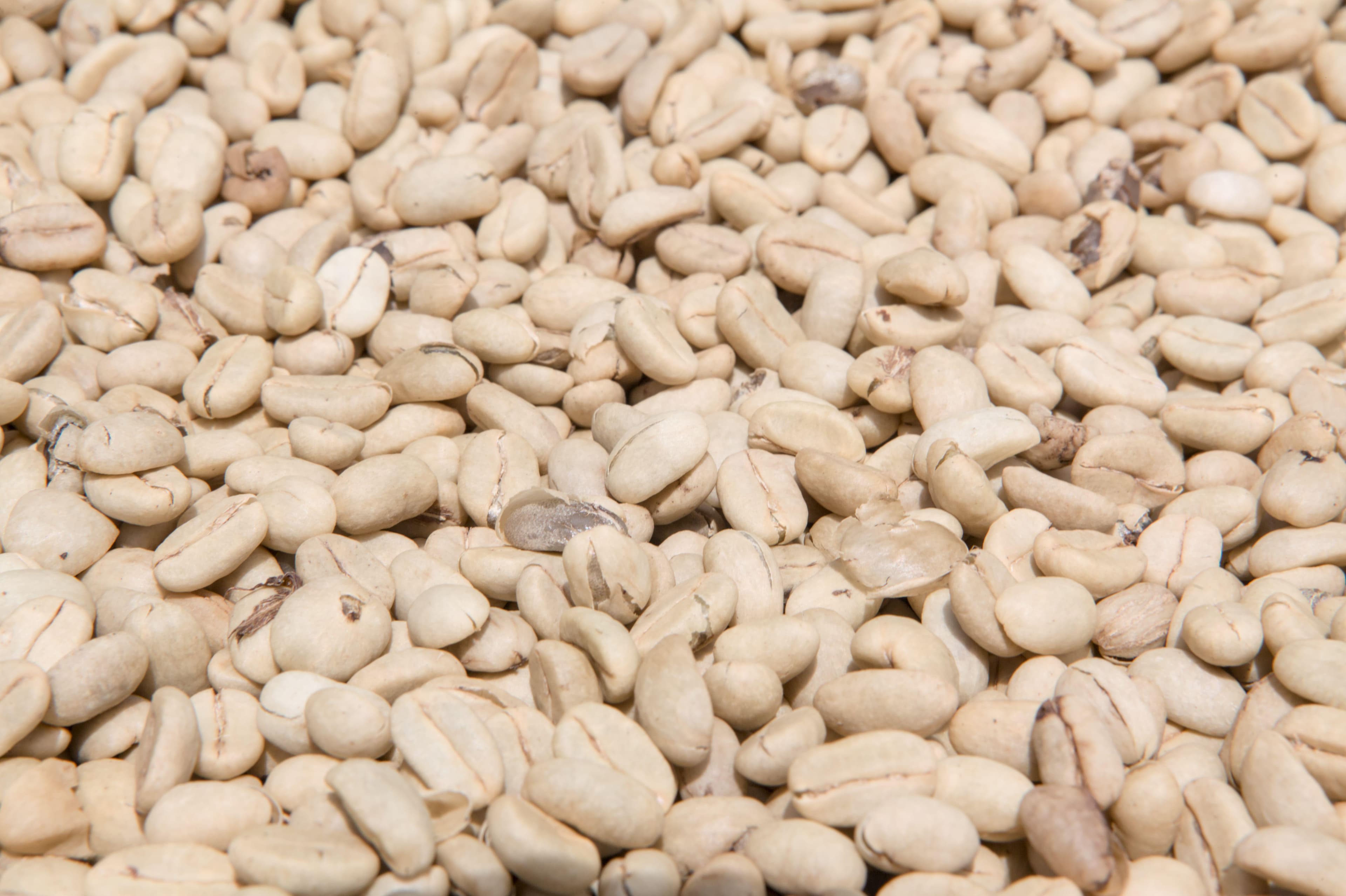 Associação de Vale do Anari recebe descascador de café de R$ 180 mil